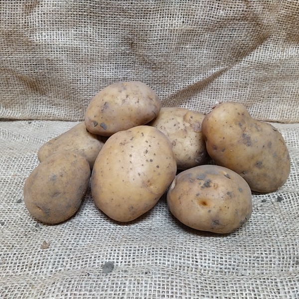 aardappel Bintje 1Kg
