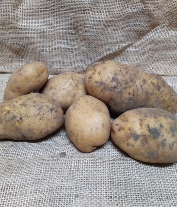 aardappel FRIET 5Kg