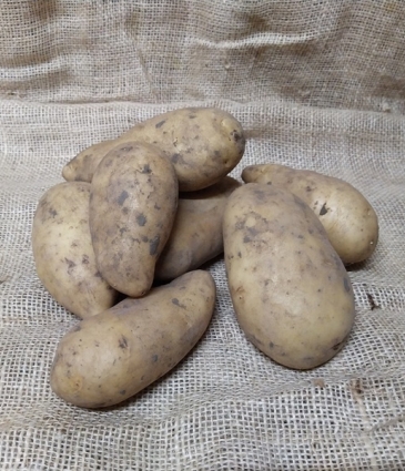 aardappel Amandine 10Kg